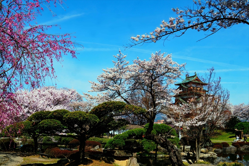 1133_高島城_長野