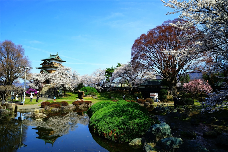 1134_高島城_長野