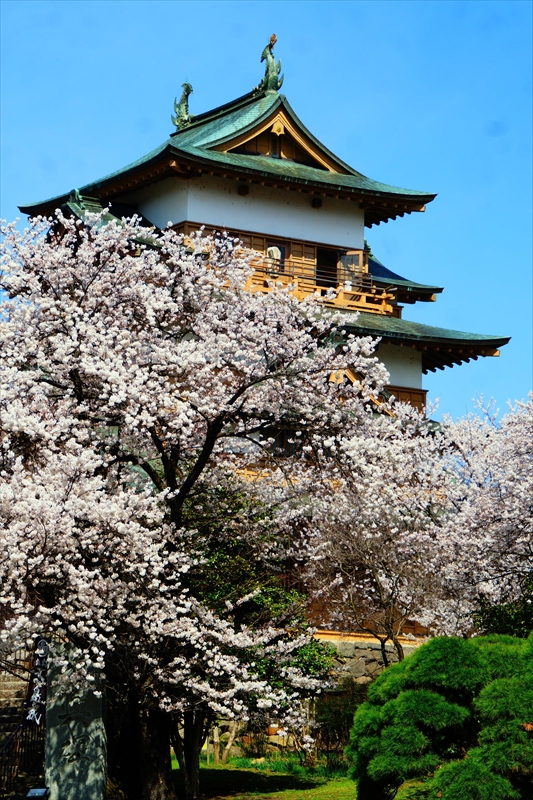 1140_高島城_長野