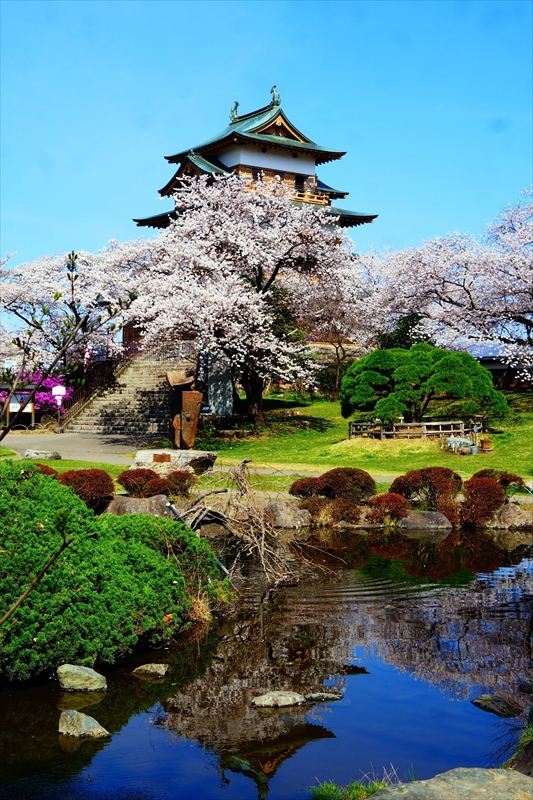 1142_高島城_長野