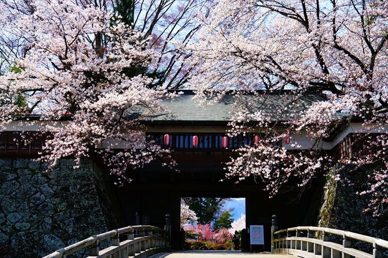 1143_高島城_長野