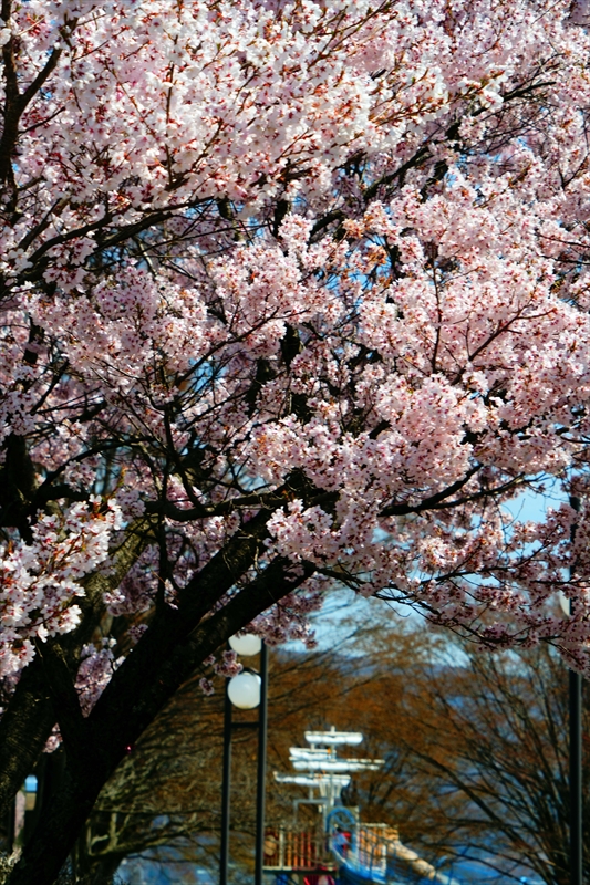 1035_諏訪湖畔_長野