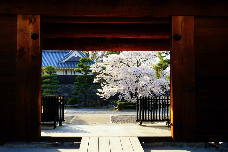 1073_松本城_長野