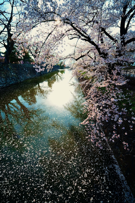 1074_松本城_長野