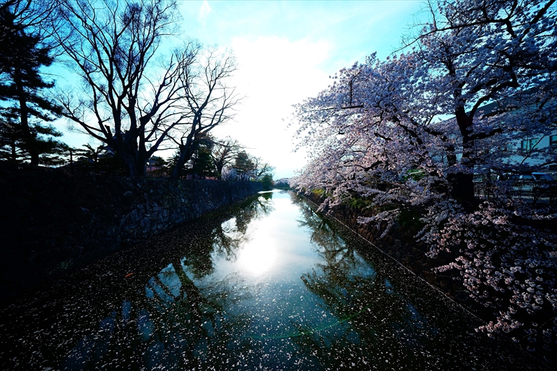 1075_松本城_長野