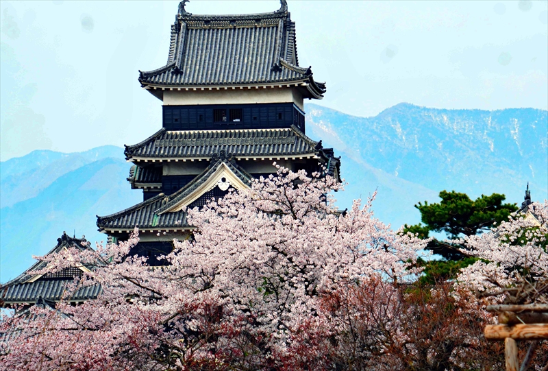 1078_松本城_長野