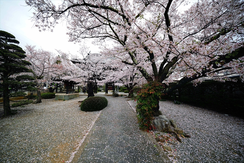 1114_正麟寺_長野