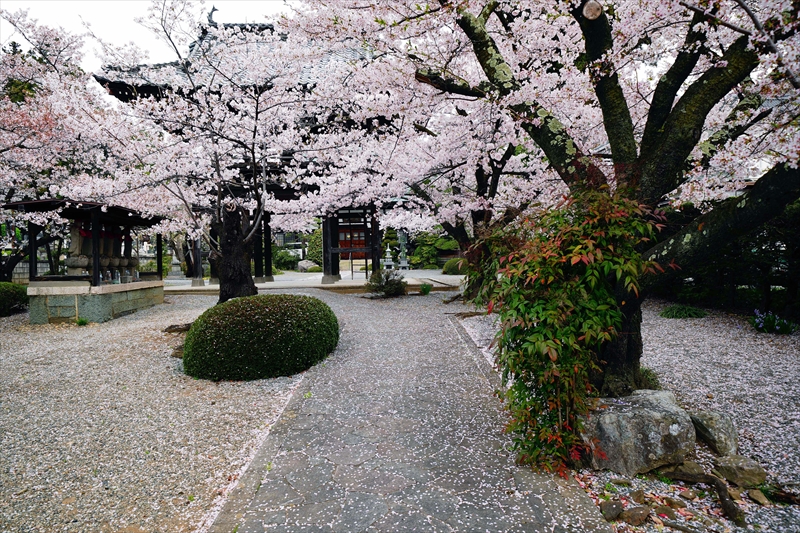 1116_正麟寺_長野