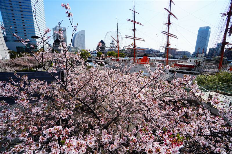 1086_なとみらい_神奈川