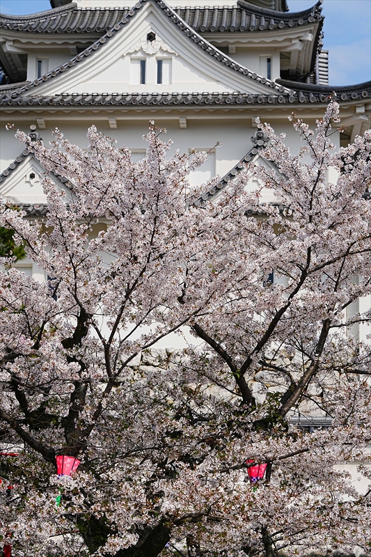 1006_大垣城_岐阜