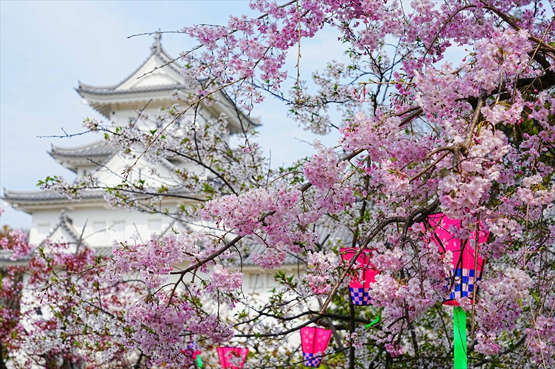 1007_大垣城_岐阜