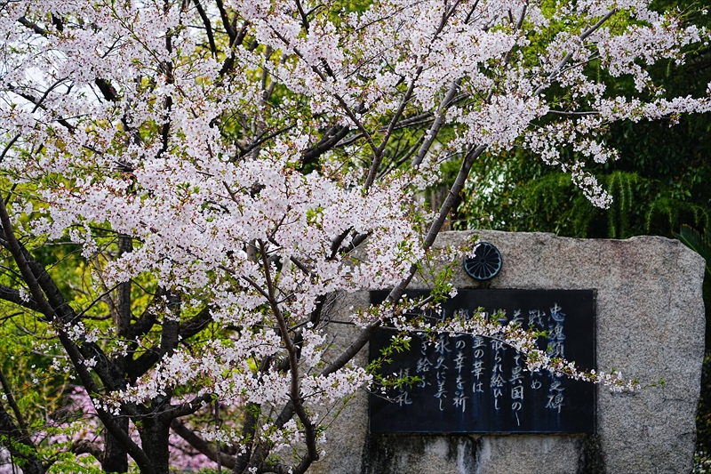 1014_大垣城_岐阜