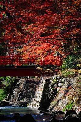 1009_修善寺_静岡