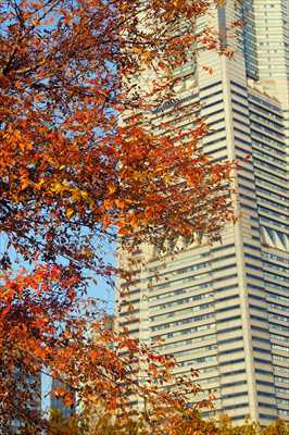 1014_汽車道_神奈川