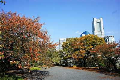 掃部山公園_神奈川