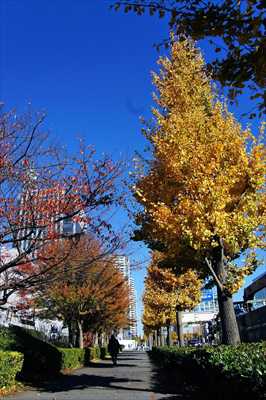 みなとみらい_神奈川