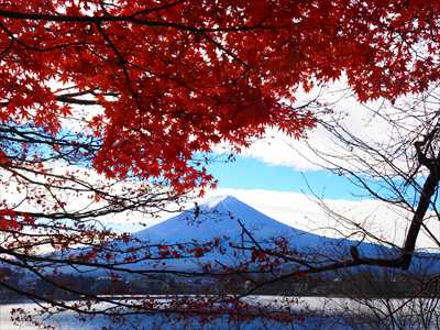 1002_河口湖_山梨