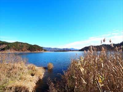 1014_河口湖_山梨