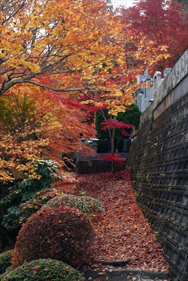 1007_永源寺_茨城