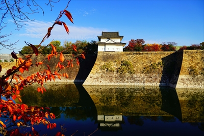 1008_大阪城_大阪
