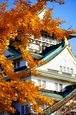 1026_大阪城_大阪
