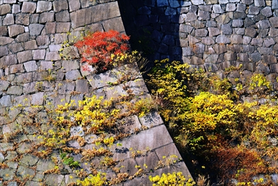 1029_大阪城_大阪