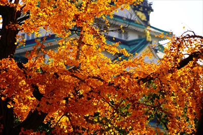 1034_大阪城_大阪