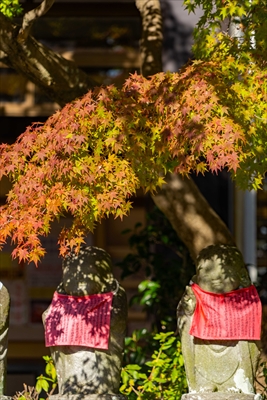 神戸市須磨寺_兵庫