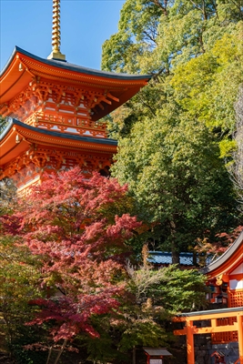 1038_神戸市須磨寺_兵庫