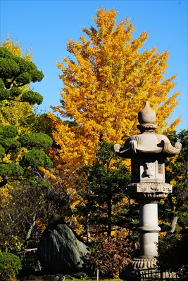 1045_神戸市須磨寺_兵庫