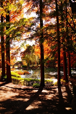 1051_神戸市須磨離宮公園_兵庫