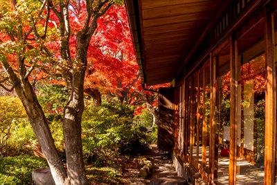 1054_神戸市須磨離宮公園_兵庫