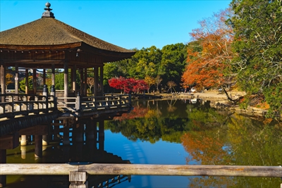 1098_奈良公園鷺池_奈良