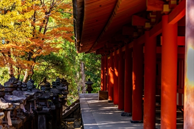 1101_春日大社_奈良