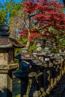 1103_春日大社_奈良