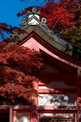 1106_春日大社_奈良