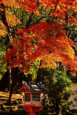 1110_春日大社_奈良