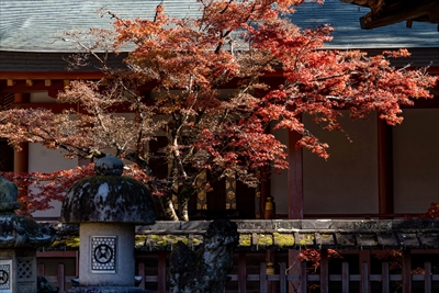 1114_手向山八幡宮_奈良