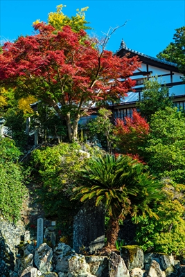 1124_東大寺二月堂_奈良