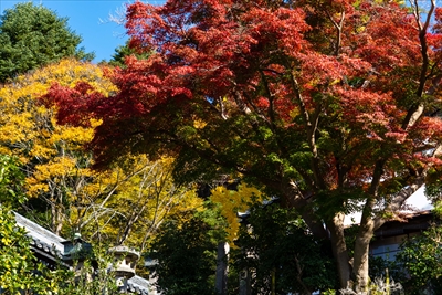 1125_東大寺二月堂_奈良