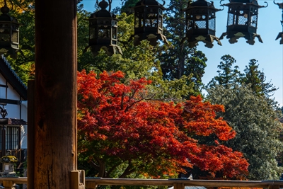 1126_東大寺二月堂_奈良