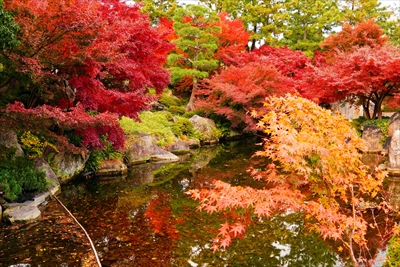 1009_名古屋市徳川園_愛知