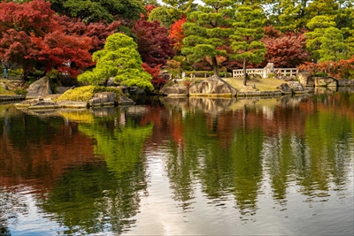 1015_名古屋市徳川園_愛知