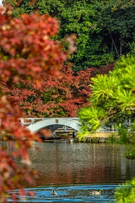 名古屋市徳川園_愛知