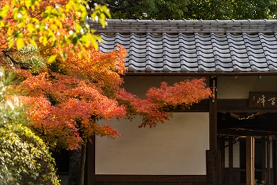 1023_名古屋市徳源寺_愛知