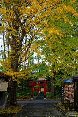 1002_函館亀田八幡宮_北海道