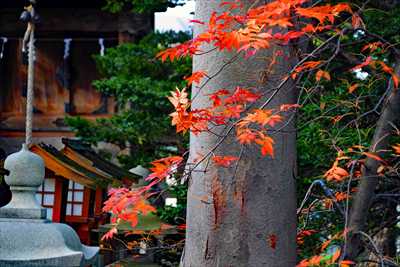 1004_函館亀田八幡宮_北海道