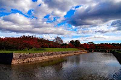 1008_函館五稜郭公園_北海道