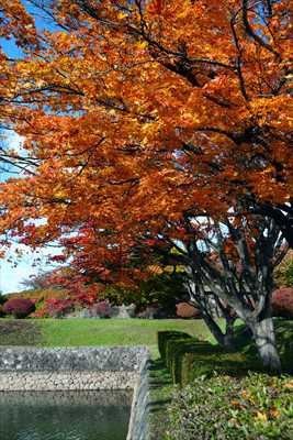 1011_函館五稜郭公園_北海道