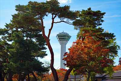 1018_函館五稜郭公園_北海道